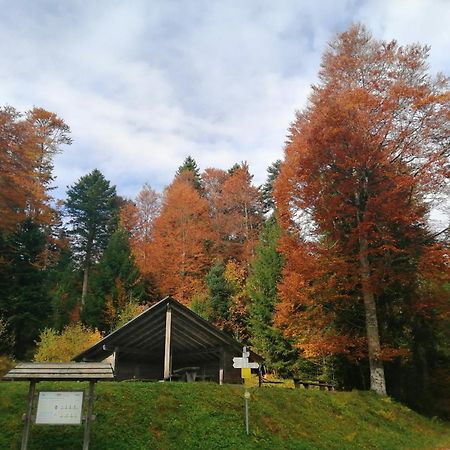 Hotel Am Kurpark Todtmoos Esterno foto